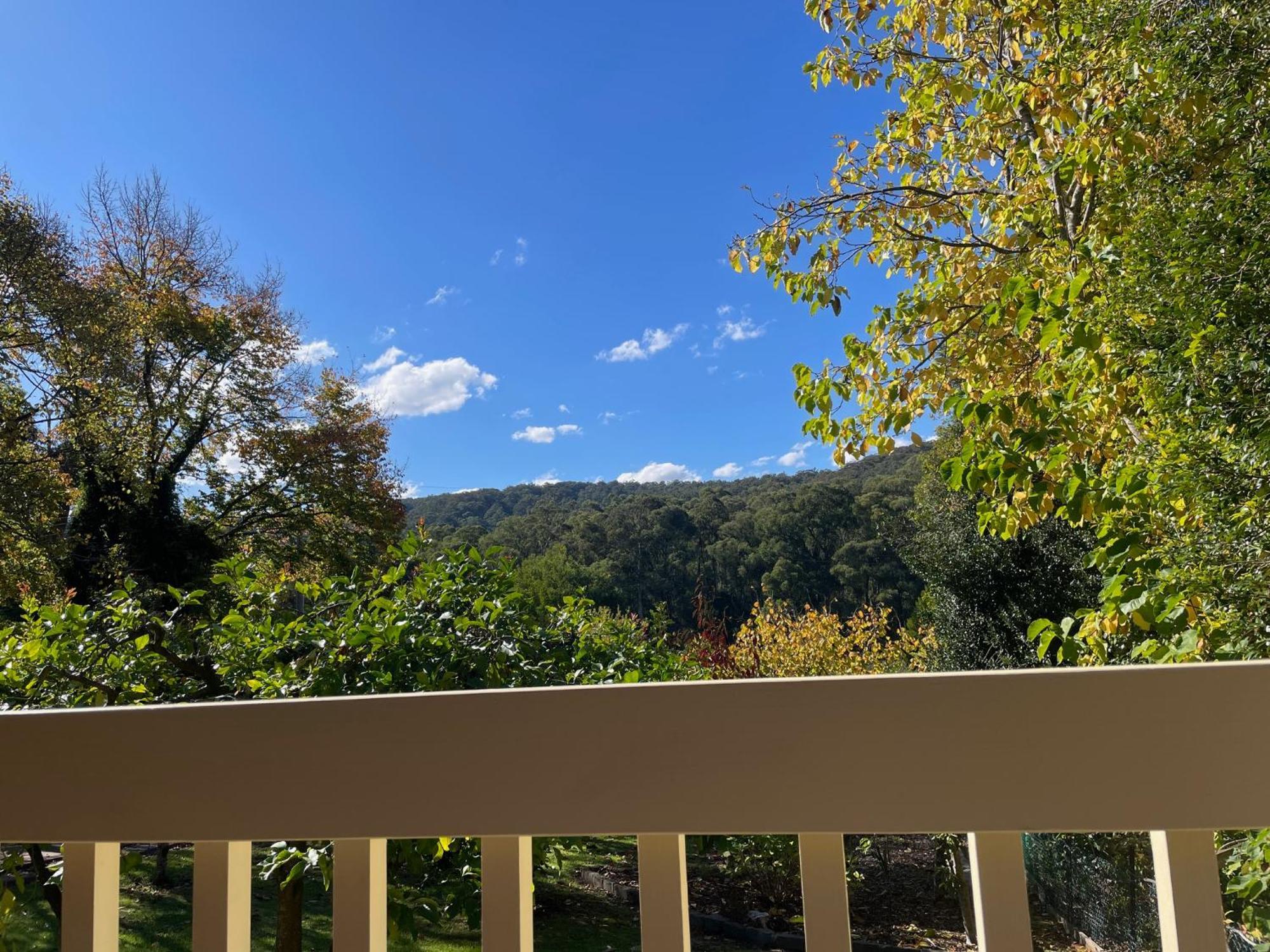 Вилла Noojee Getaway Экстерьер фото